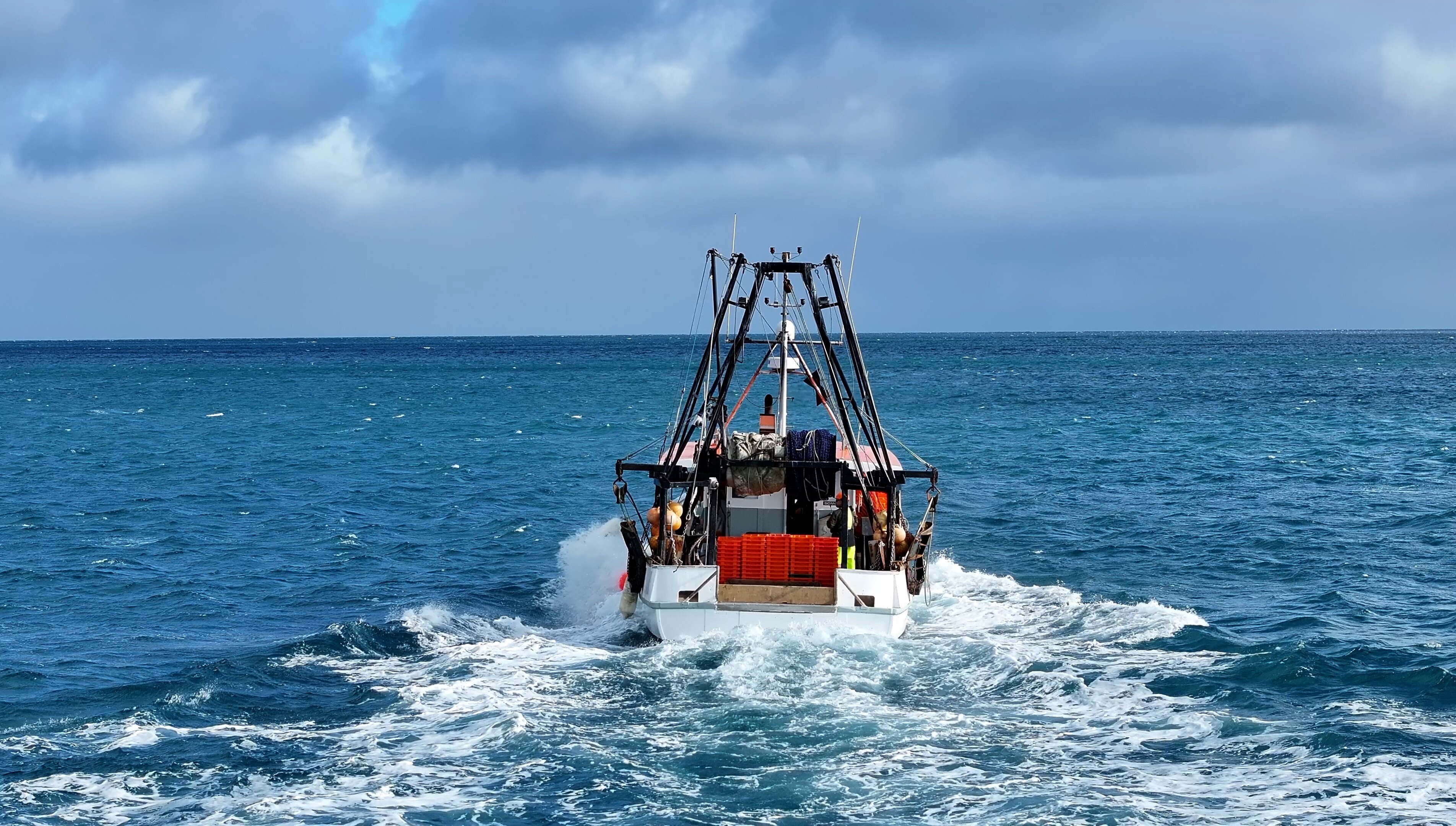 Video and AI crafts data-driven insights for the commercial fishing sector